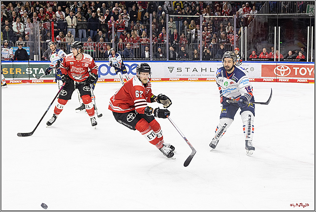 PENNY DEL;  Koelner Haie - Iserlohn Roosters; Koeln, 24.01.2023